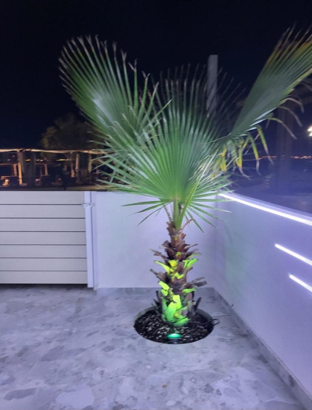 Sun Sea No 7 First Line Apartment Peraia  Exterior photo